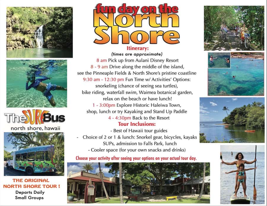 02/03 - 02/09 - Watch Pipeline Surf Challenge ! - Bike ride along surfing beaches: fun movement without the skills test