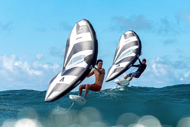 #1 eFoil 1.25 hr or 2 hr wing foil or windsurf or kayak lesson - Key Points You Should Know Before You Go