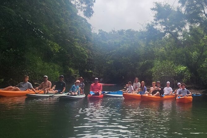 2 hour tandem kayak rental at our private launch area in Hale'iwa - Where you’ll start on Oahu: Haleiwa’s private-launch setup