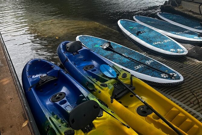 2 hour tandem kayak rental at our private launch area in Hale'iwa - Who this is best for (and who might want something else)