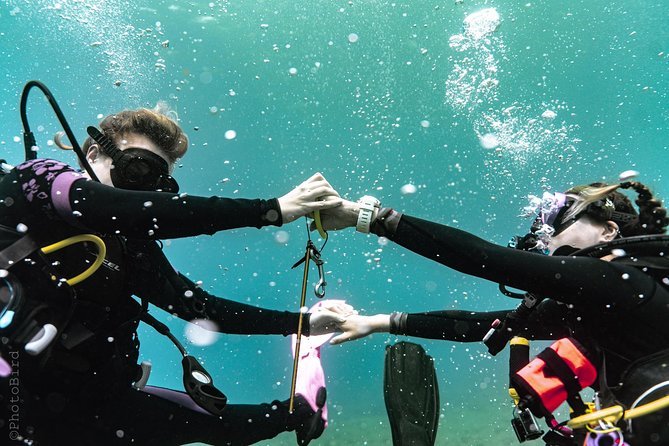 2 Tank Private SCUBA Party Diving Charter from Waikiki Hawaii - Private 2-Tank Charter From Waikiki: What the Boat Time Really Means