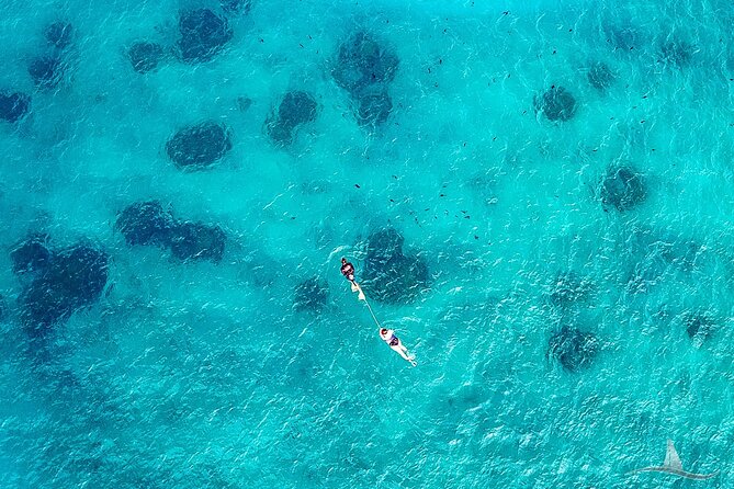 2hr Luxury Private Sailing Catamaran for 7-12 People - Snorkeling Before 1pm: How to Get the Best Water Time