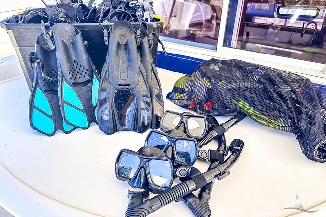 2hr Luxury Private Sailing Catamaran for 7-12 People - Nets, Swimming, and the Real Meaning of Relaxing