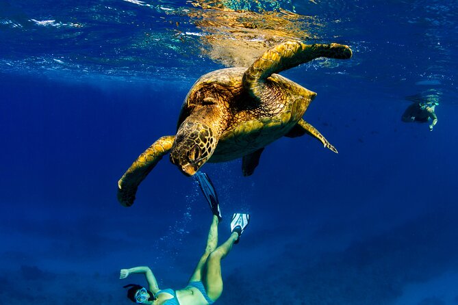 2hr Luxury Private Sailing Catamaran in Waikiki for 1-6 People - Comfort details that matter more than you think