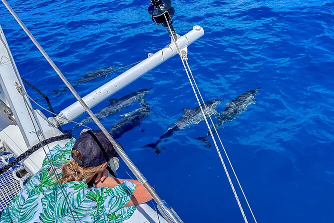 2hr Luxury Private Sailing Catamaran in Waikiki for 1-6 People - What you pay for: value for up to 6 people