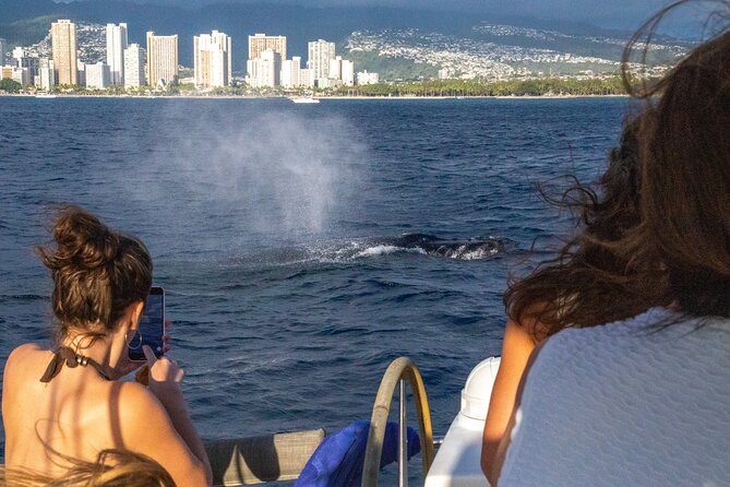 2hr Luxury Private Sailing Catamaran in Waikiki for 1-6 People - The route: Diamond Head Crater then Waikiki (and what to do at each stop)