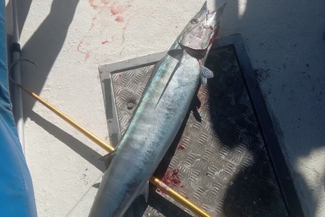 3-Hour Fishing Trip in Waikiki - Weather and Sea Conditions: When the Ocean Changes the Plan