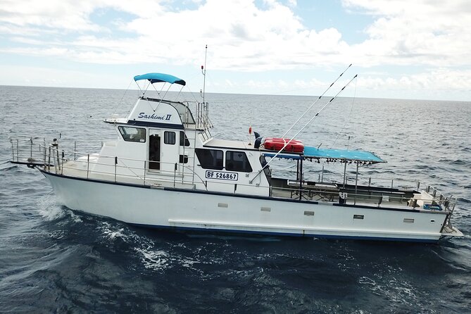 3-Hour Honolulu Bottom Fishing Adventure - The 3-Hour Flow: Nearshore Scenery to Offshore Grounds