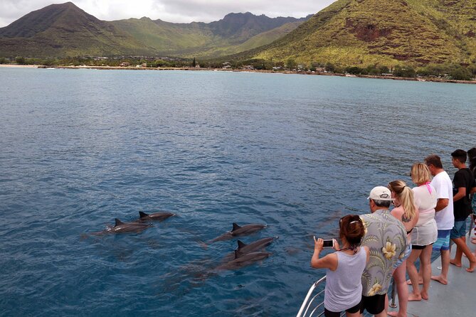 3 Zipline Adventure and 3.5 hour Afternoon Snorkel Cruise - Key Things I’d Focus on Before You Go