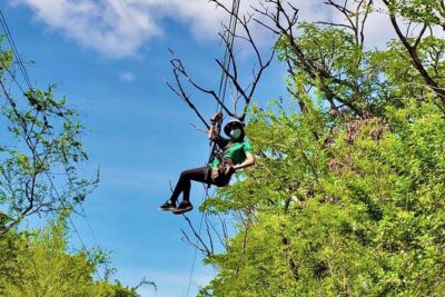 3 Zipline Adventure at Coral Crater with Optional Waikiki Shuttle - Where to go and how pickup works near Waikiki