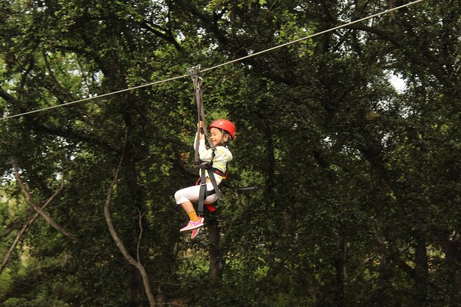 3 Zipline Adventure with Waikiki Transportation - The 10:00 am start: why timing helps (a lot)