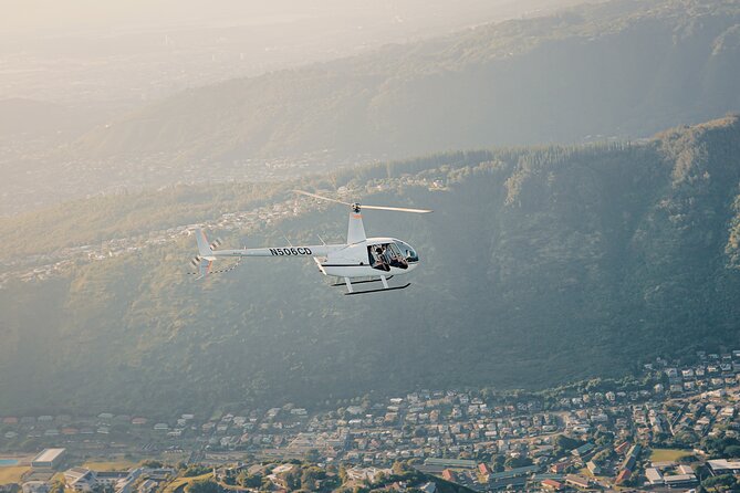 30 Minutes PRIVATE Helicopter Tour in Honolulu - Who should book this and who should skip it
