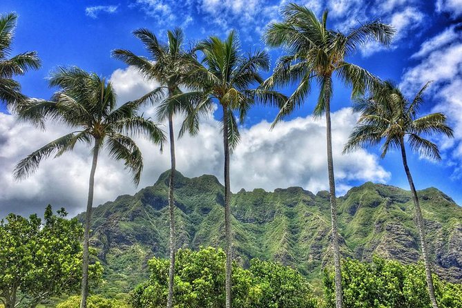 4 Hour Half Day Island Jeep Tour - Stops That Make Sense: A Tight Circuit of Oahu Views