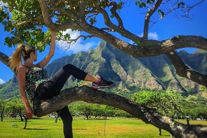 4 Hour Half Day Island Jeep Tour - Weather, Sea Conditions, and the Real Oahu Plan B