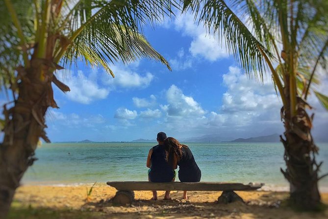 5 Hour Romantic Hawaii Jeep Tour - Jackass Ginger Pond and Sandy Beach Park: quick beauty with real practical payoff