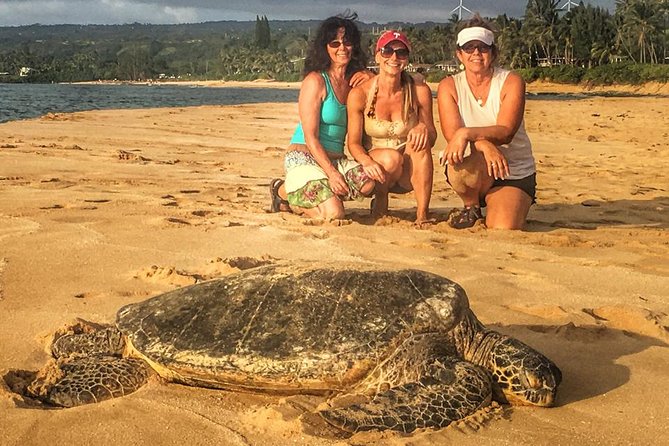 8 Hour Circle Island Jeep Tour - Price and value: what $275 per person really buys