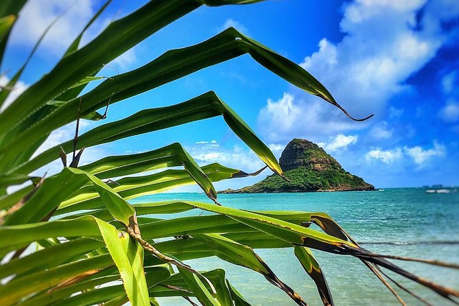 8 Hour Circle Island Jeep Tour - The full circle-island loop: what you’ll actually experience