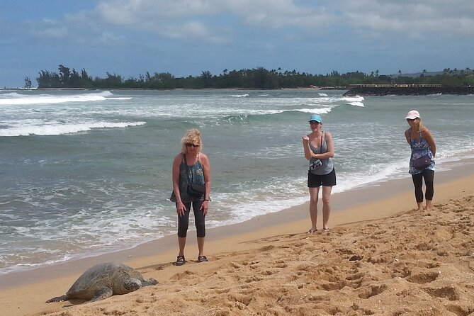 8-Hour Luxury Four Door Convertible Tour of Oahu's South and North Shores - Lookouts, Iolani Palace, and the Stops That Feel Like Oahu in Motion