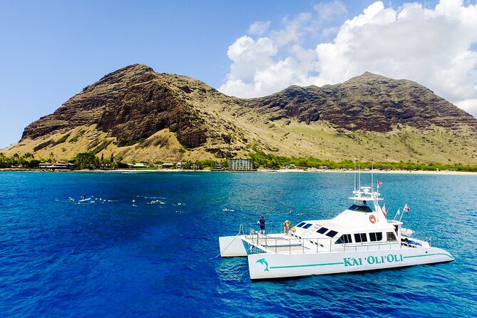 All-Inclusive Sunset Dolphin Watch and Snorkeling Cruise - Dolphin spotting: how the 91% odds affect your expectations