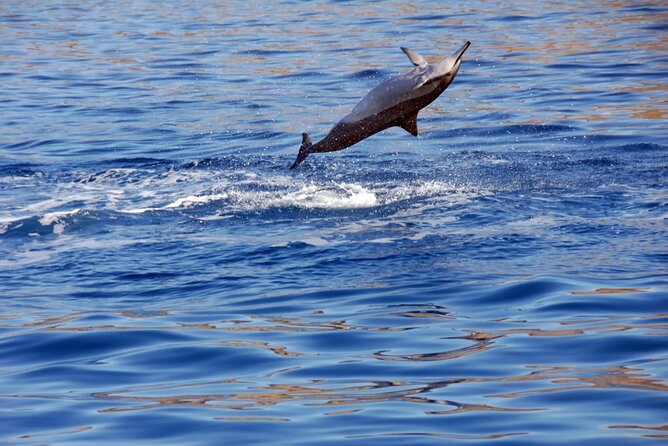 All-Inclusive Sunset Dolphin Watch and Snorkeling Cruise - Sunset viewing from the Pacific: why this timing works