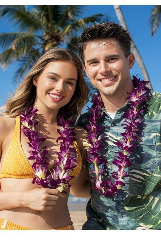 Arrival Lei Greeting --HNL to Waikiki Private Transfer - FAQ
