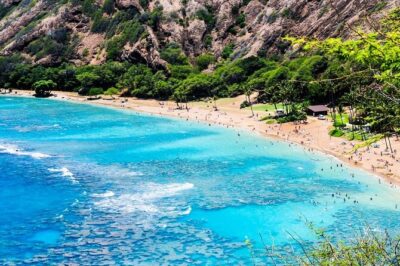 Beaches, Food & Aloha: Private Oahu Tour - Price and what $699 per group really buys
