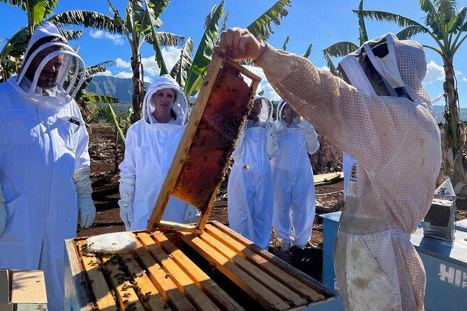 Bee Farm Ecotour and Honey Tasting in Waialua, North Shore Oahu - Safety, comfort, and who should skip this one