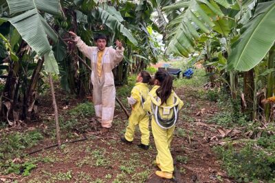 Bee Farm Ecotour and Honey Tasting in Waialua, North Shore Oahu - Honey tasting: raw, infused, and pairings you can compare