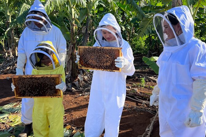 Bee Farm Ecotour and Honey Tasting in Waialua, North Shore Oahu - Who this tour is best for on the North Shore