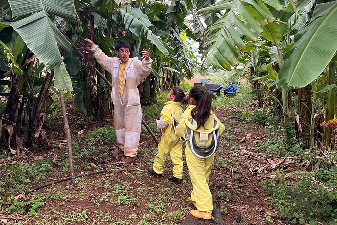 Bee Farm Ecotour and Honey Tasting in Waialua, North Shore Oahu - Honey tasting: raw, infused, and pairings you can compare