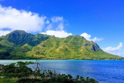 Best of Oahu Full-Day Small-Group Island Tour - Pickup, timing, and the reality of a packed van
