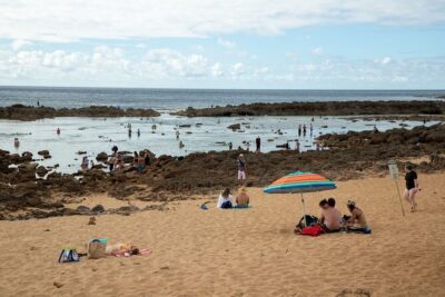 Best Of Oahu: Grand Circle Island Small Group Tour From Waikiki - Diamond Head and Hanauma Bay Overlook: Crater Views Without the Swim