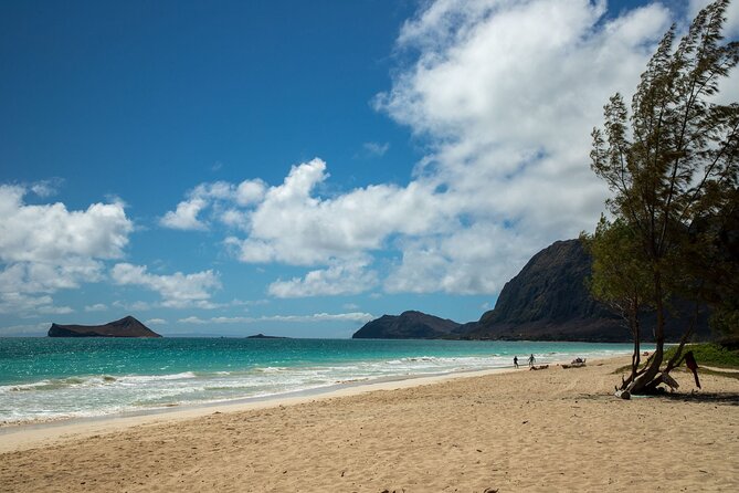 Best Of Oahu: Grand Circle Island Small Group Tour From Waikiki - North Shore Surf Views and Haleiwa Town: Pipeline, Waimea, and the Real Vibe