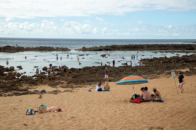 Best Of Oahu: Grand Circle Island Small Group Tour From Waikiki - Diamond Head and Hanauma Bay Overlook: Crater Views Without the Swim