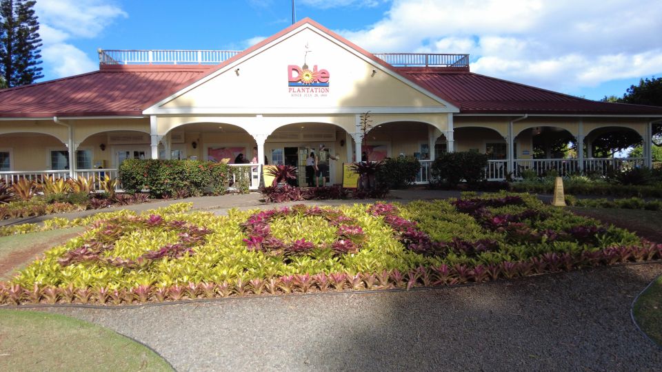 Best of Oahu in One Day - How the Private 8-Hour Format Works for Oahu Day Trips