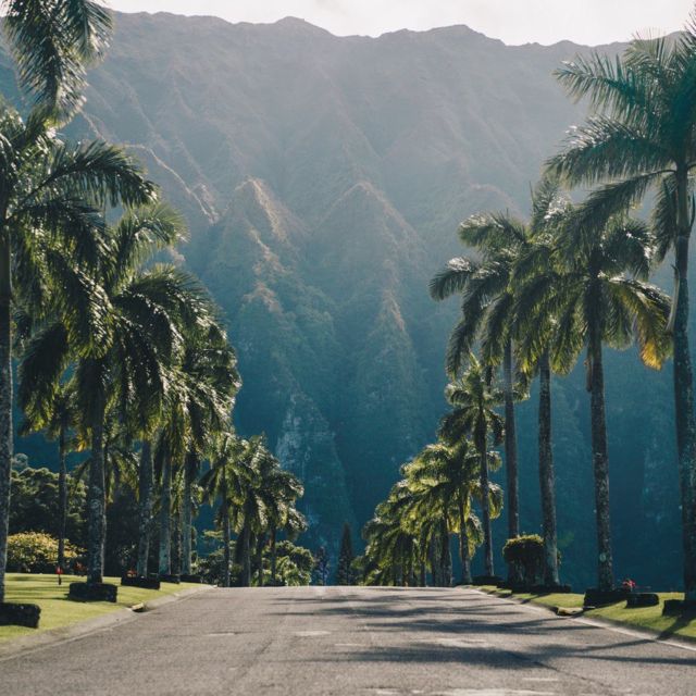 Best of Oahu in One Day - Blow Hole and Eternity Beach: Ocean Views Without Too Much Fuss