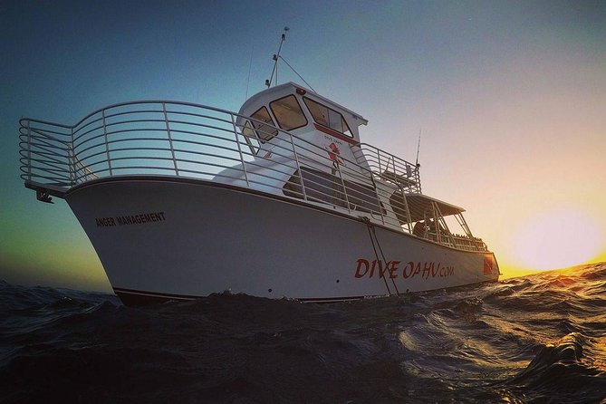 BYOB Friday Night Fireworks Cruise - Key highlights worth planning around