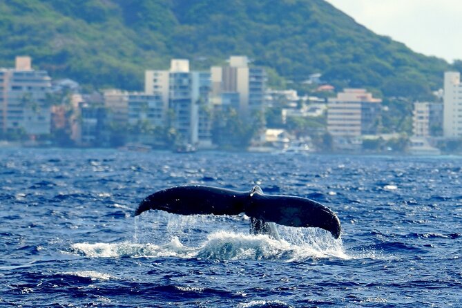 BYOB Sunset Cruise Waikiki - Price and value: what $55 buys in Waikiki