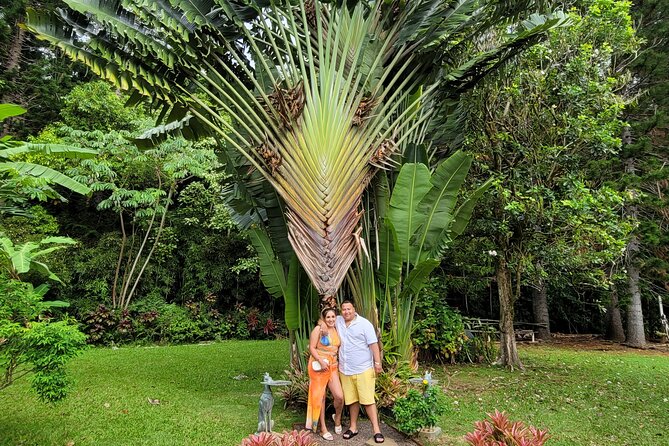 Byodo Temple and Waimea Botanical Garden Tour - “Treasure” and nut-farm stops: not just shopping, but time-managed breaks