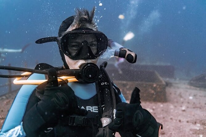 Certified Divers: Best 2-Tank Wrecks & Reef Boat Dive All Inclusive From Waikiki - Two underwater stops: wreck option first, then a reef full of native wildlife