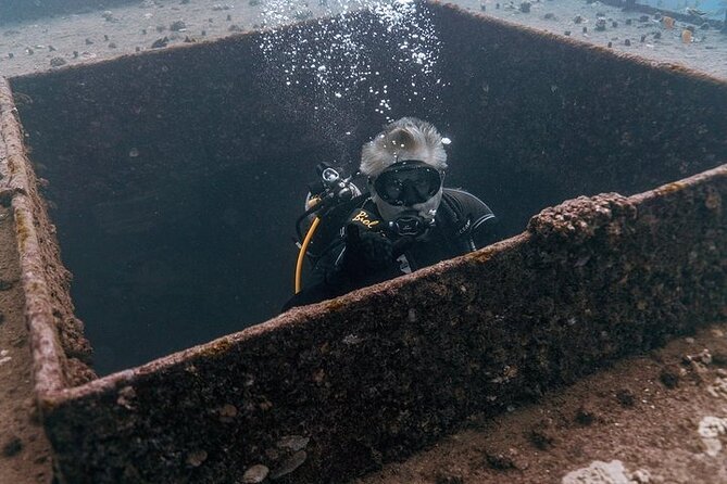Certified Divers: Best 2-Tank Wrecks & Reef Boat Dive All Inclusive From Waikiki - Price and value: what $259 buys you (and what makes it feel fair)