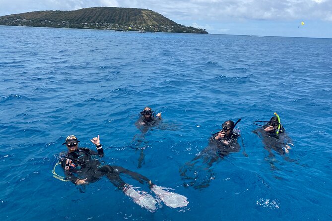 Certified Scuba Diving Along Two Shallow Reef Sites - Two shallow reef sites at 30–40 feet: what you’ll actually do underwater