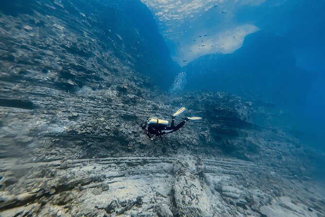 Certified Scuba Diving Experience in Honolulu - Who Should Book This Charter in Oahu?