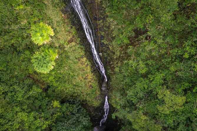 Chasing Waterfalls:Wild Hawaii Rappelling - What the hike really feels like: rugged jungle, scrambles, and smart footwear