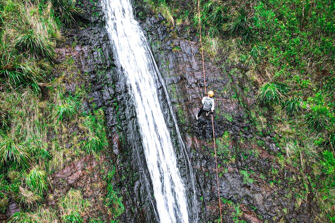 Chasing Waterfalls:Wild Hawaii Rappelling - Price and value: is $350 a fair deal for 5 hours?