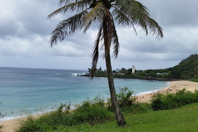 Circle Island 8hr Private Small Group Tour - Coffee farms, pineapple stops, and Haleiwa’s old-school edges