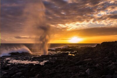 Circle Island (Holoholo Mokupuni) from Ko'olina - Price and Value: What $200.73 Buys You