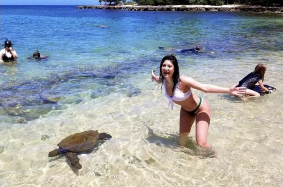 Circle Island: Swim with Turtles and Explore Paradise Oahu - Diamond Head and Halona Blowhole: the photo stops that actually pay off