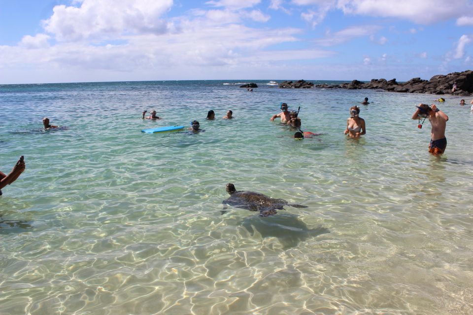 Circle Island: Swim with Turtles and Explore Paradise Oahu - Makapuʻu, Mokoliʻi, and Chinaman’s Hat: scenic pass-by moments worth noticing