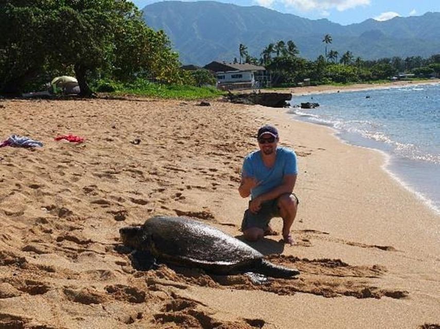 Circle Island: Swim with Turtles and Explore Paradise Oahu - The break time and Kahuku shrimp stop: fueling the family without slowing the tour